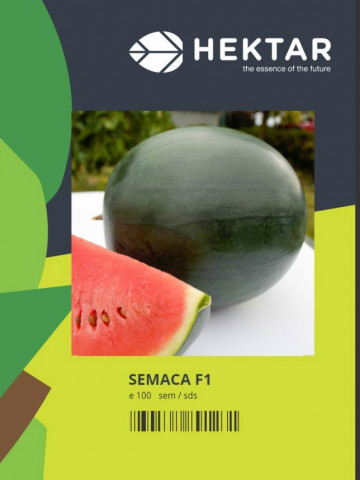 Semaca F1 (100 seminte) pepene verde tip Sugar Baby, Hektar - Img 1
