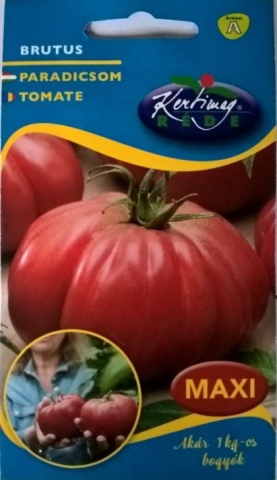 Seminte rosii Brutus (0.5 gr), tip gigant, nedeterminate semitimpurii, Kertimag