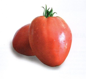 Sweetheart (50 seminte) rosii semitimpurii nedeterminate in forma de inima, Agrosel