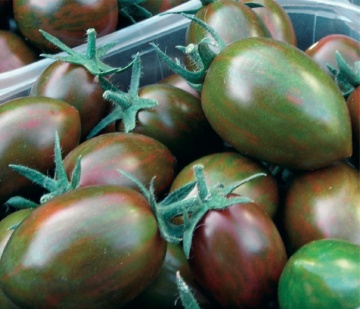 Vipon F1 (5 seminte) tomate nedeterminate, culoare zmeurie cu dungi verzi, Sekluva - Img 3