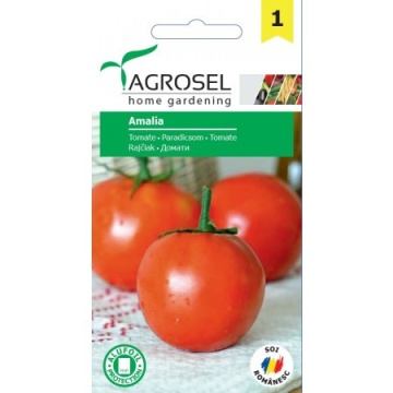Amalia (600 seminte) rosii soi romanesc semitardiv determinat, Agrosel - Img 2