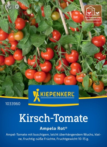 Ampelo Rot F1 (12 seminte) rosii cherry de culoare rosie, fructe mici si foarte gustoase, randament ridicat, Kiepenkerl - Img 1