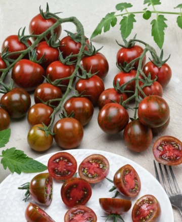 Black Cherry (100 seminte) tomate cherry negre, soi timpuriu exotic, gust deosebit, Prima Sementi - Img 1