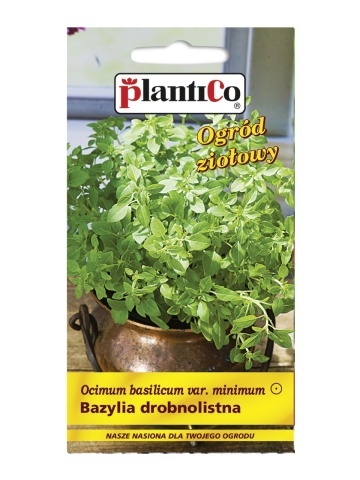Busuioc cu frunze mici (0.5 gr) seminte busuioc pitic pentru ghivece, PlantiCo - Img 3