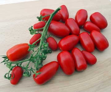 Delikano F1 (30 seminte) tomate extratimpurii mici tip San Marzano, Seklos - Img 2
