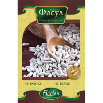 Fasole alba pentru boabe Pactol (25 kg) seminte de fasole pitica pentru boabe, Florian - Img 2