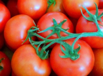 Gardel F1 (20 seminte) tomate cu randament ridicat, cu o calitate si un gust excelente, Seminis