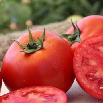 Godoria F1 (1000 seminte) rosii tip beef semitimpurii determinate, aroma clasica, Bakker Brothers