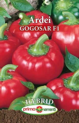 Gogosar F1 (25 seminte) de ardei gogosar hibrid timpuriu, Prima Sementi