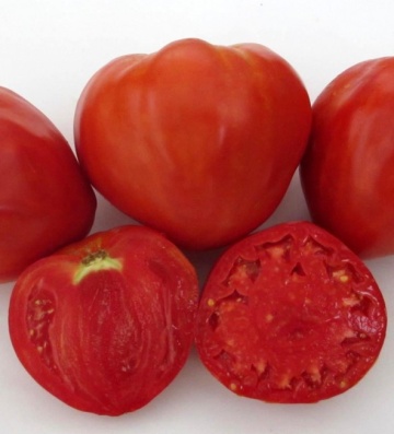 Inima Stacojie (Aleno Sartse) 150 seminte de tomate tip Gigant bulgaresc in forma de inima tip Beef, IZK Bulgaria