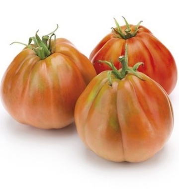Lanterna F1 (1000 seminte) rosii mari nedeterminate tip inima de bou incretita, gust deosebit, Profit Seeds - Img 3