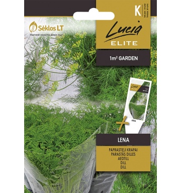 Lena (5 gr) seminte marar pitic parfumat, verde intens, potrivit pentru ghiveci, Seklos - Img 3