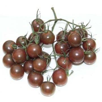Luther F1 (10 seminte) tomate cherry exotice nedeterminate, productive, rezistente la crapare, Seklos - Img 4