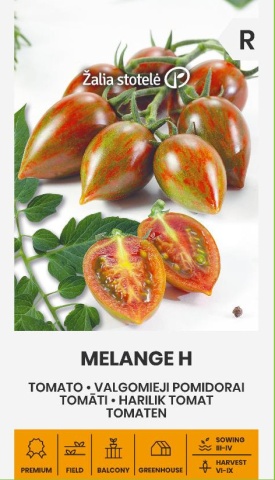 Melange F1 (5 seminte) rosii cherry extratimpurii, fructe mici rosu inchis cu dungi verzi, foarte gustoase si aromate, Seklos - Img 3