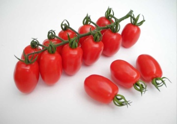 Monterrey F1 (8 seminte) rosii cherry prunisoare, nedeterminate, rezistente la spargere, culoare rosu intens, Sperli - Img 2