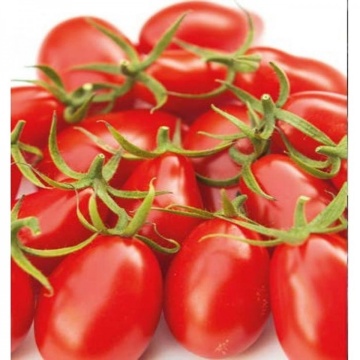 Nicoleta F1 (250 seminte) rosii nedeterminate de tip cocktail, fruct in forma de prunisoare, Yuksel