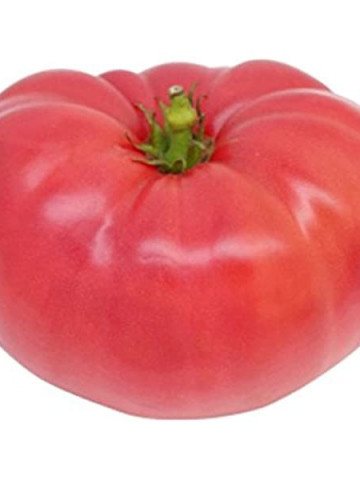 Ponderosa F1 (100 seminte) tomate gigant culoare roz, rotunde, usor turtite, Mefim - Img 2