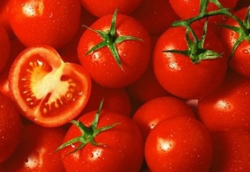 Primadona F1 (500 seminte) tomate nedeterminate rotunde, Hazera - Img 2