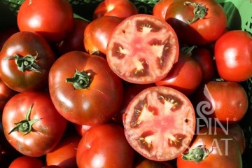 Revilla BIO (10 seminte) tomate maronii foarte ferme, gust foarte aromat, ReinSaat - Img 5
