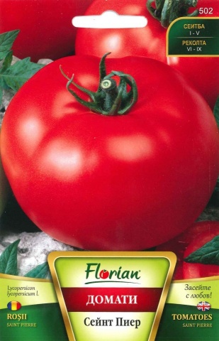 Rosii Saint Pierre (150 seminte) tomate soi traditional francez, Florian - Img 2