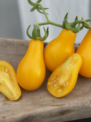 Rosii Yellow Pearshaped (60 seminte) tomate mici, galbene, tip para, Agrosem - Img 1