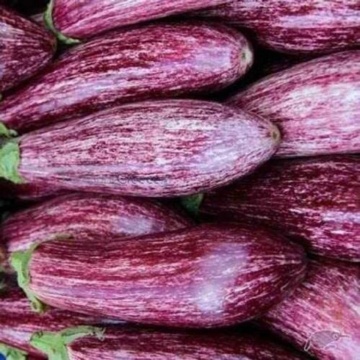 Tsakoniki (40 seminte) vinete violet cu alb, pulpa gustoasa, Seklos - Img 2