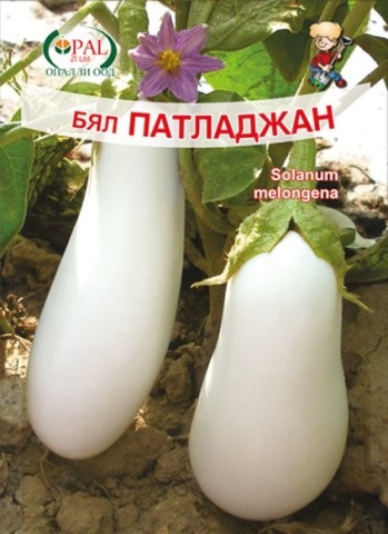 Vinete albe (220 seminte) soi timpuriu fructe lungi, foarte productiv, Opal - Img 2