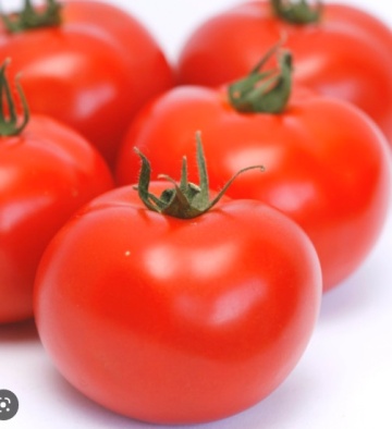 Abellus F1 (10 seminte) tomate timpurii cu crestere nedeterminata, Seklos