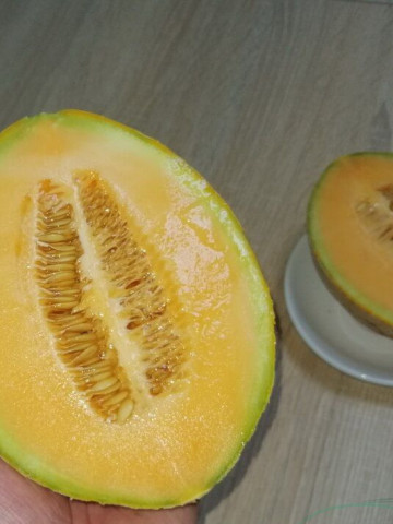 Akiles F1 (500 seminte) pepene galben timpuriu, tip Cantalup, pentru productii in spatii protejate si camp, rezistenta mare la fusarium si fainare, Fito Semillas - Img 2