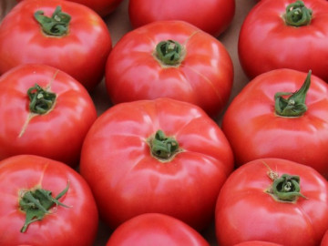Aphen F1 (10 seminte) de tomate roz cu crestere nedeterminata, extratimpurii, Clause - Img 3