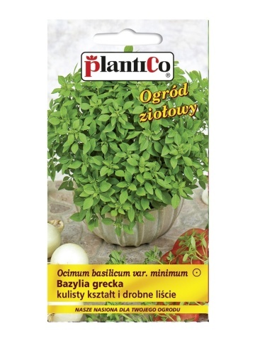 Bazylia Grecka - Busuioc Grecesc (0.5 gr) seminte busuioc aromat forma sferica, PlantiCo - Img 2