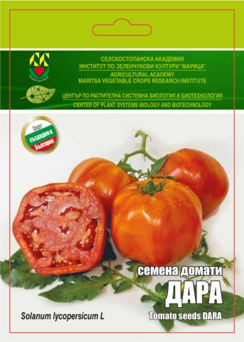 Dara (10 seminte) rosii mari nedeterminate, carnoase cu un gust traditional, IZK Maritsa - Img 3