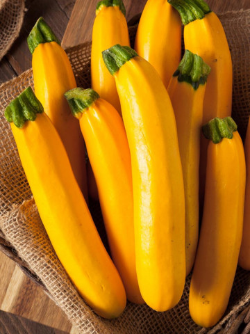 Dovlecel Golden Zucchini F1 (10 seminte) hibrid timpuriu zucchini galben, Agrosem - Img 1