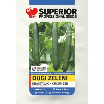 Dugi Zeleni (2.5 gr) seminte castraveti lungi de salata, foarte gustosi si rezistenti la boli, Superior - Img 2