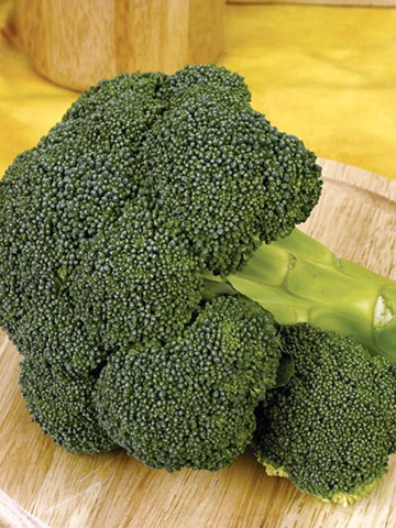 Ironman F1 (1000 seminte) broccoli semitimpuriu, Seminis - Img 3