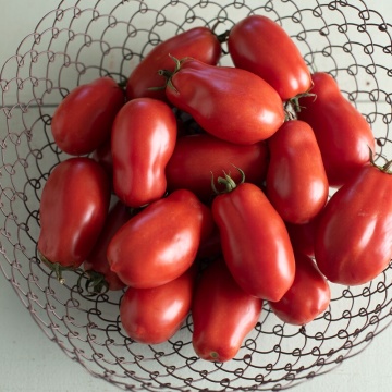 Kmicic (150 seminte) rosii tip San Marzano, soi determinat, foarte gustoase, seminte putine, Polan - Img 5