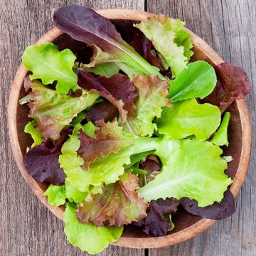 Mieszanka Rodzinna (2 gr) amestec seminte legume cu frunze baby leaf pentru salate, Toraf - Img 4