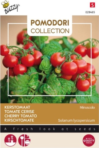 Minuscolo (Micro Tom) seminte de tomate cherry determinate (10 seminte) soi "tufis" pentru ghivece, Pomodori Collection, Buzzy - Img 3