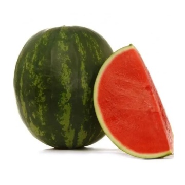 Podium F1 (500 seminte) de pepeni verzi seedless, Sakata