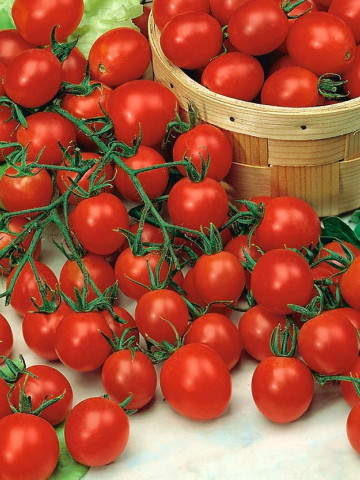 Pokusa (150 seminte) tomate cherry, soi timpuriu, fructe mici rotunde carnoase, PlantiCo - Img 3