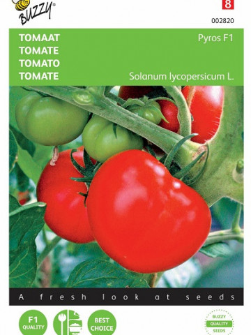 Pyros F1 (25 seminte) tomate cu timpurietate medie si rezistenta buna la boli, Buzzy - Img 3
