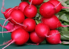 Ridichi Rosii Mari (CHERVENI EDRI) - 100 gr - Seminte de Ridichi soi timpuriu