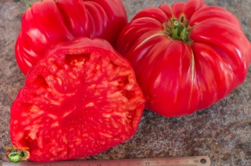 Rosa di Sorrento (60 seminte) rosii mari tip gigant Beefsteak, gustoase, ChemyFarm - Img 6