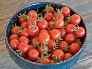 Rote Murmel (10 seminte) rosii tip cherry, fructe mici foarte dulci, Kiepenkerl - Img 2