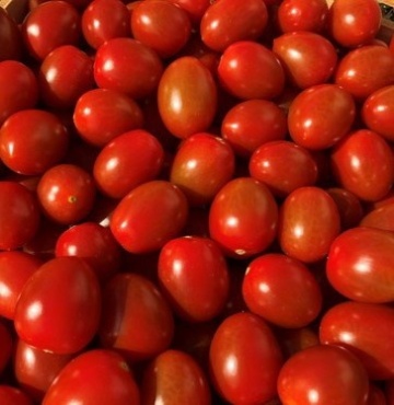 Teenon F1 (100 seminte) rosii cherry ovale, nedeterminate timpurii, Nunhems