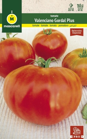 Valenciano Gordal Plus (60 seminte) rosii mari, foarte aromate, carnoase, suculente, Mascarell - Img 2