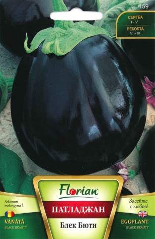 Vinete BLACK BEAUTY - 50 gr - Seminte de Vinete Florian Bulgaria Soi tardiv