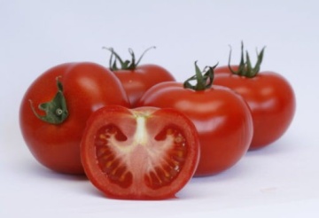 Abellus F1 (1000 seminte) tomate timpurii cu crestere nedeterminata, Rijk Zwaan