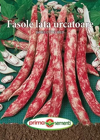 Borlotto Red urcatoare (70 gr) seminte fasole urcatoare lata tarcata pentru boabe, Prima Sementi - Img 2