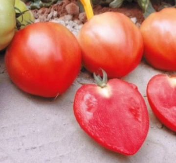 Cupidissimo F1 (10 seminte) tomate nedeterminate inima rosie, foarte gustoase, hibrid productiv semi-timpuriu, Sekluva - Img 3